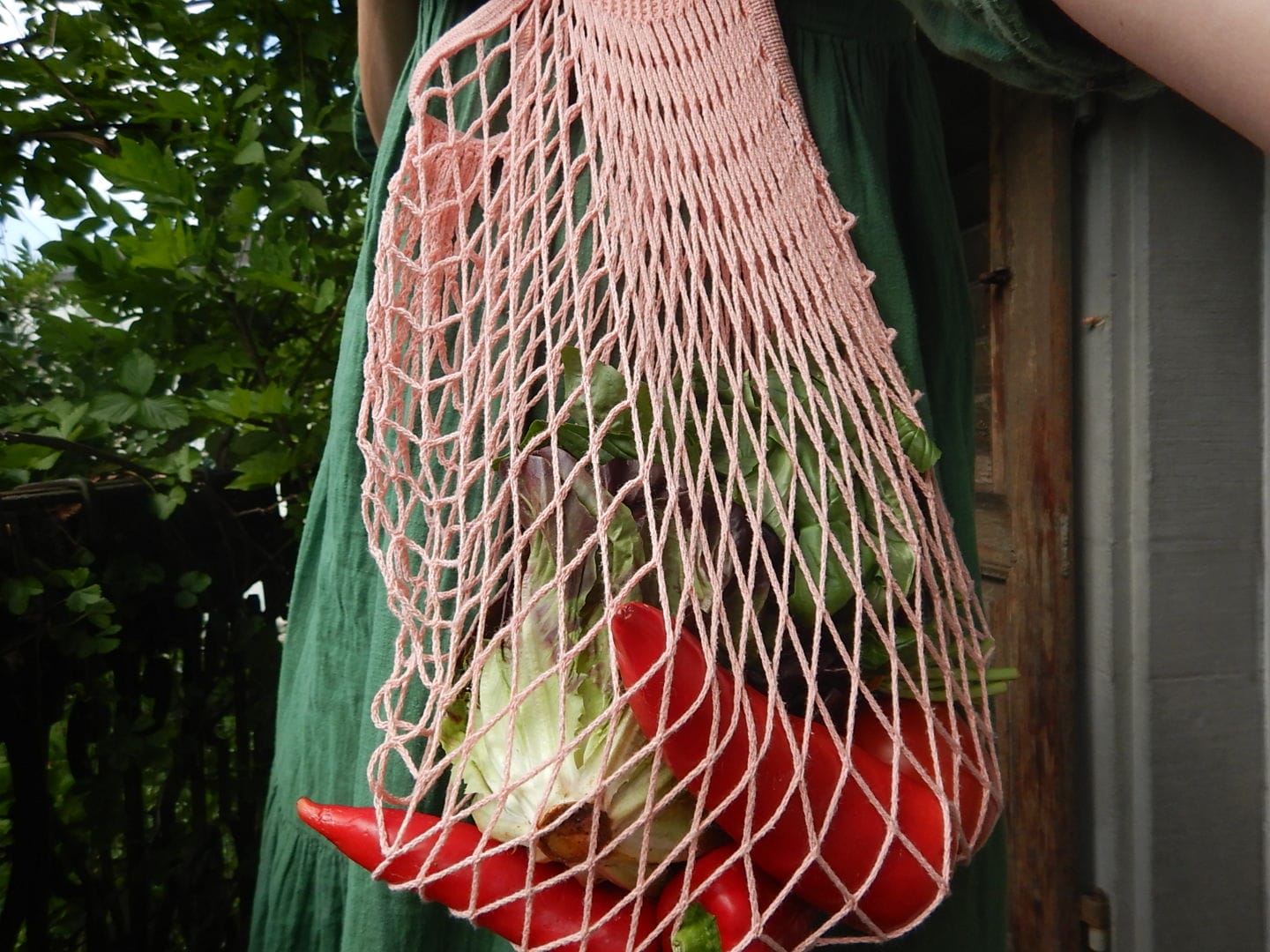 Regenerative Food Systems